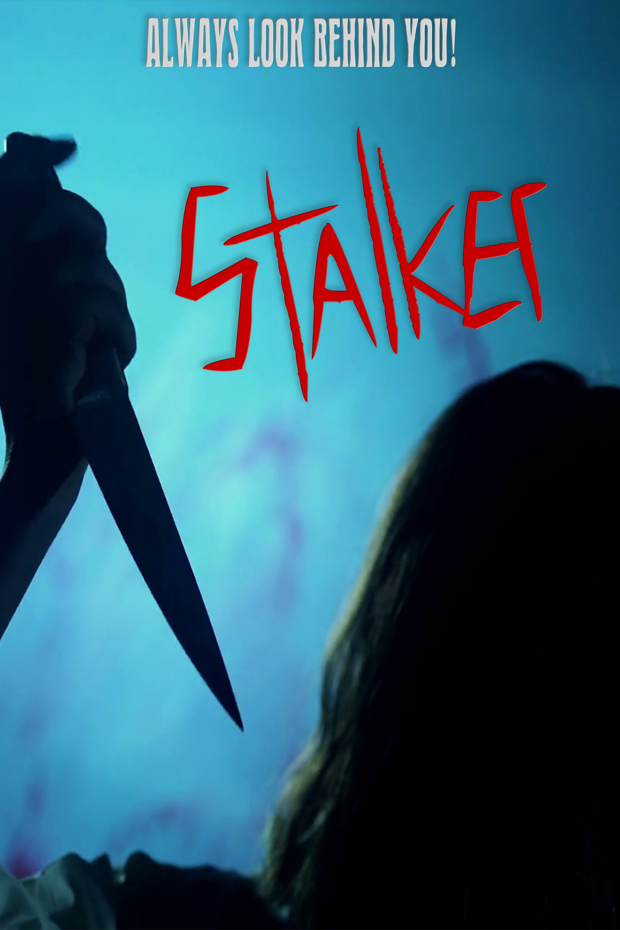 Stalker (2007) poster