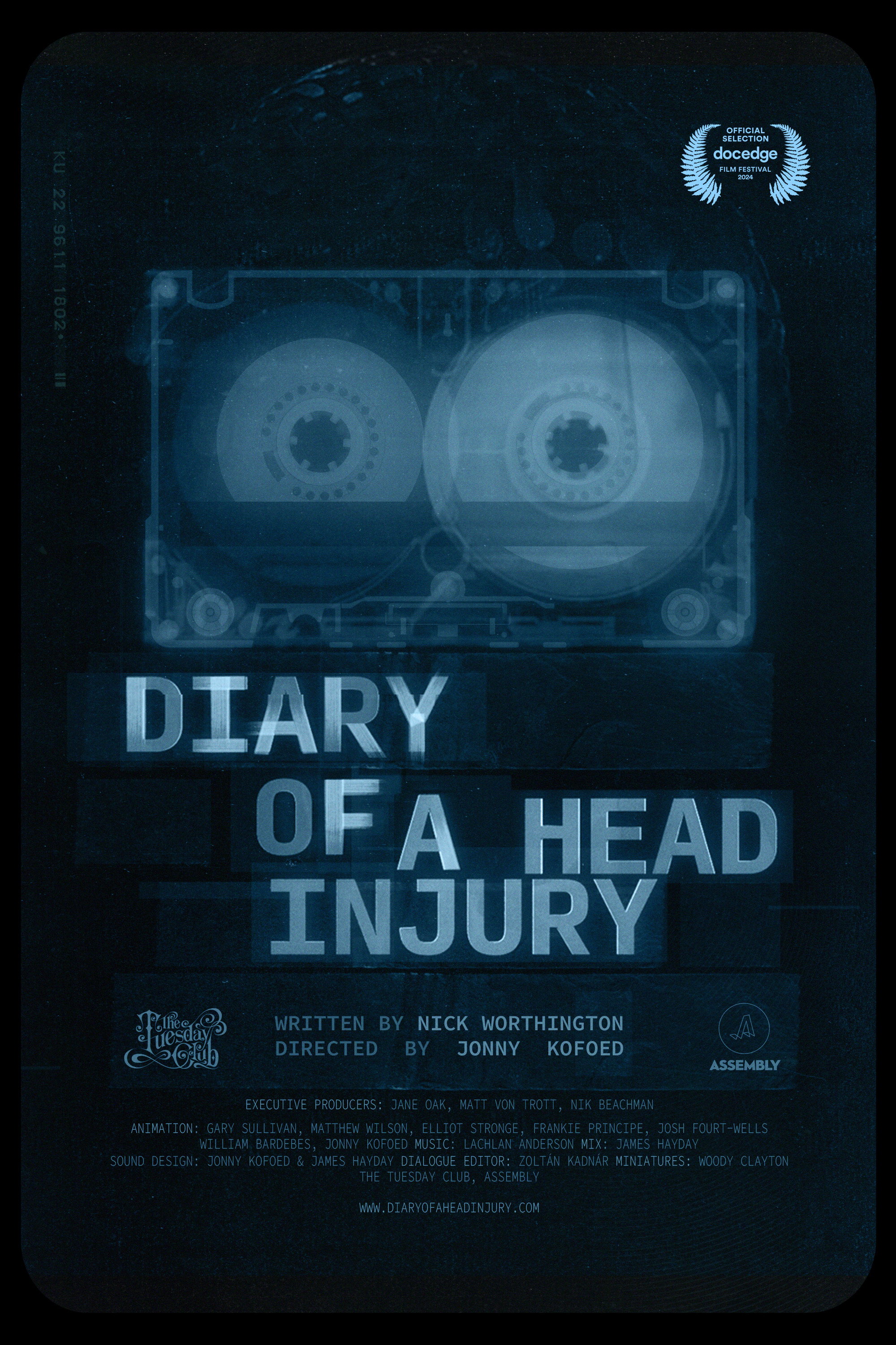 Diary of a Head Injury (2024) poster