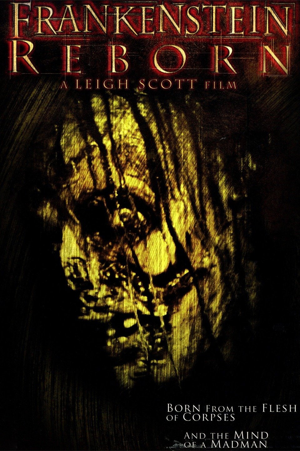 Frankenstein Reborn (2005) poster