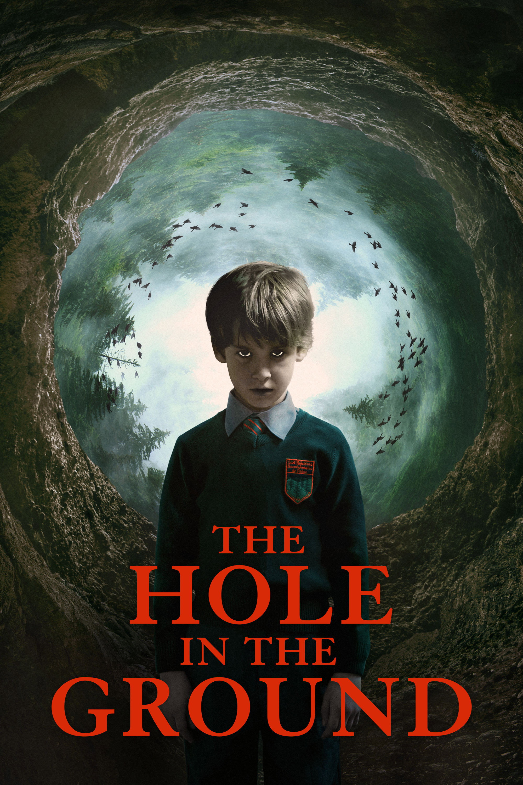 The Hole in the Ground (2019) poster
