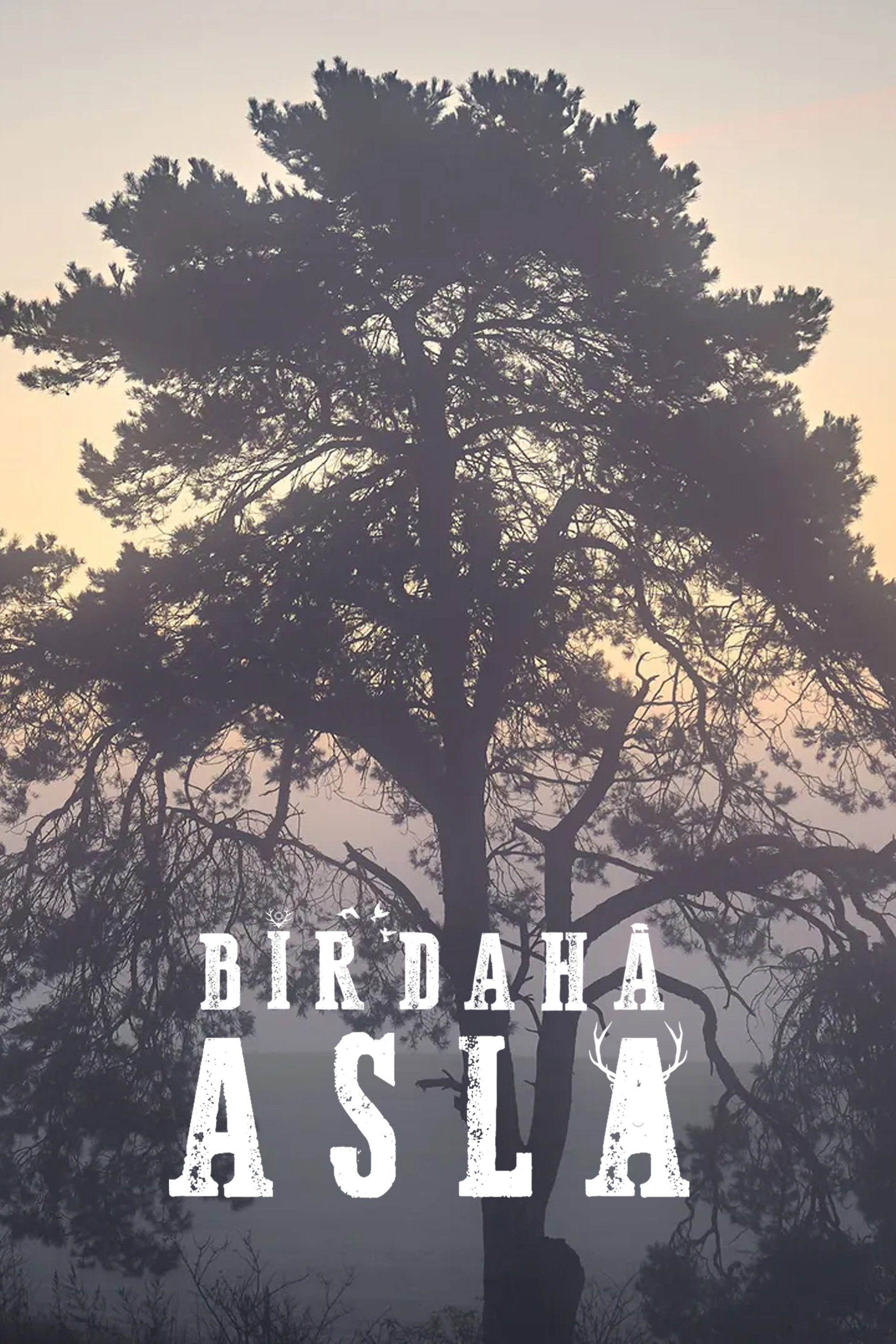 Bir Daha Asla (2021) poster