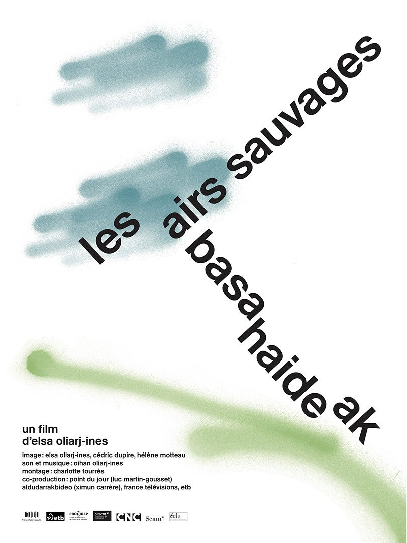 Basahaideak (2026) poster