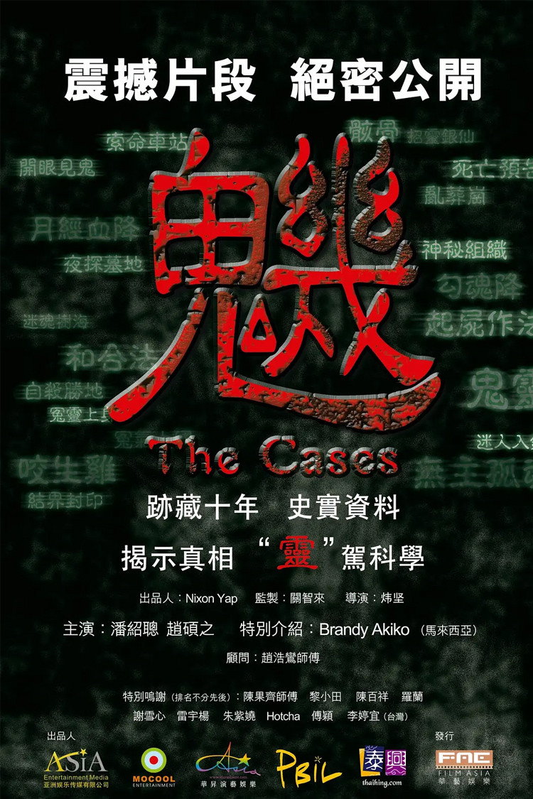 The Cases (2012) poster