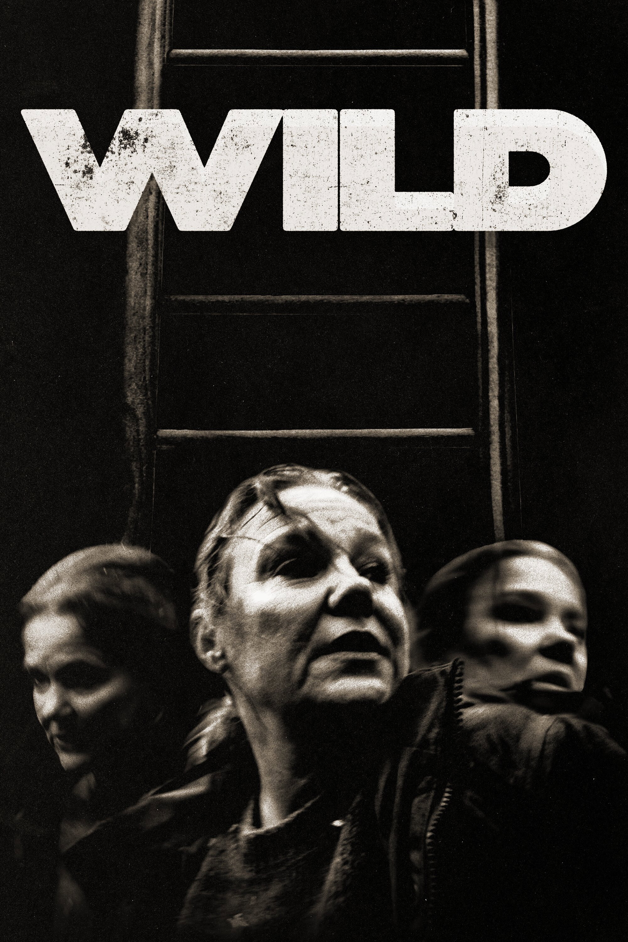 Wild (2026) poster