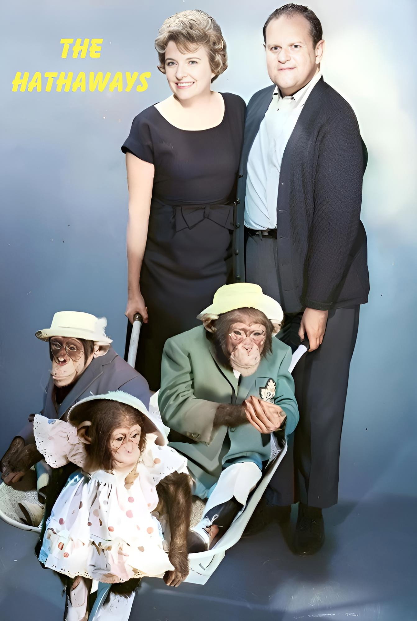 The Hathaways (1961) poster