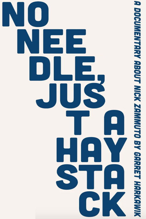 No Needle, Just A Haystack (2016) poster