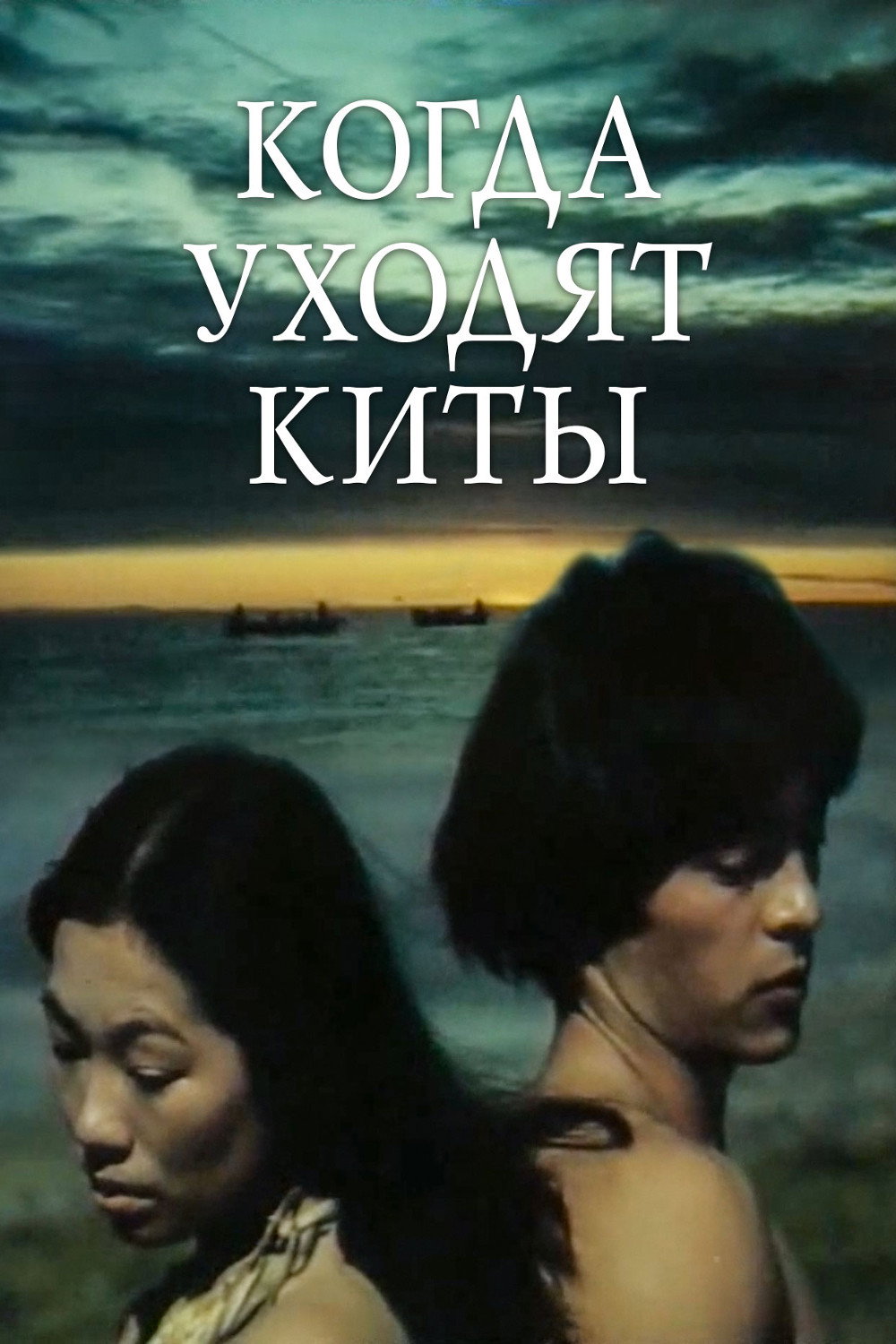 When the Whales Leave (1982) poster