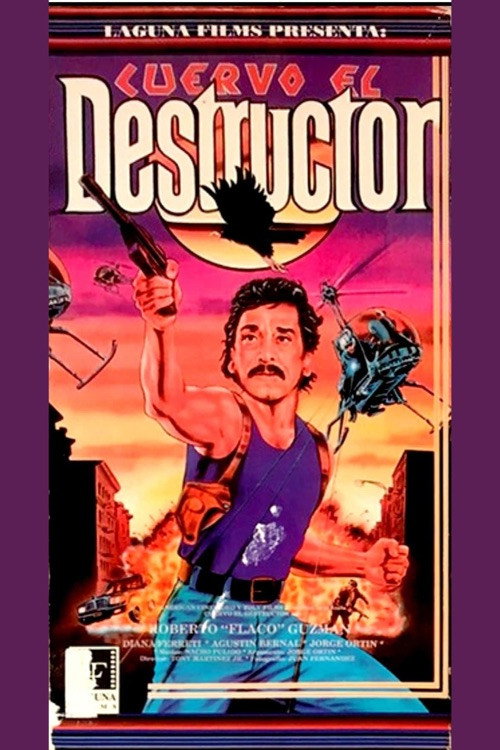 Cuervo, el destructor (1991) poster