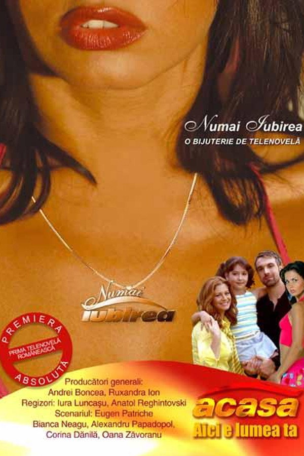 Numai iubirea (2004) poster