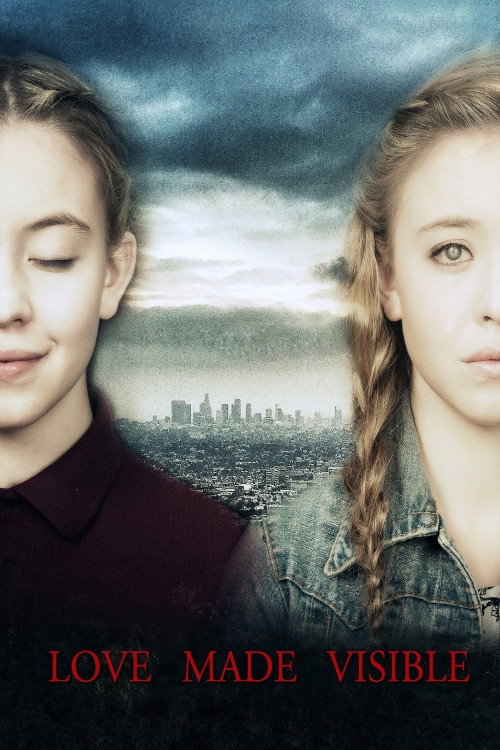 Love Made Visible (2015) poster