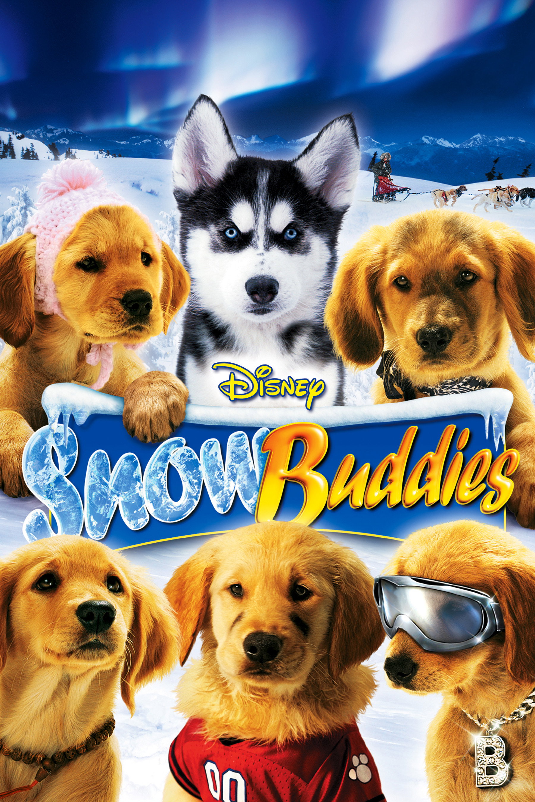 Snow Buddies (2008) poster