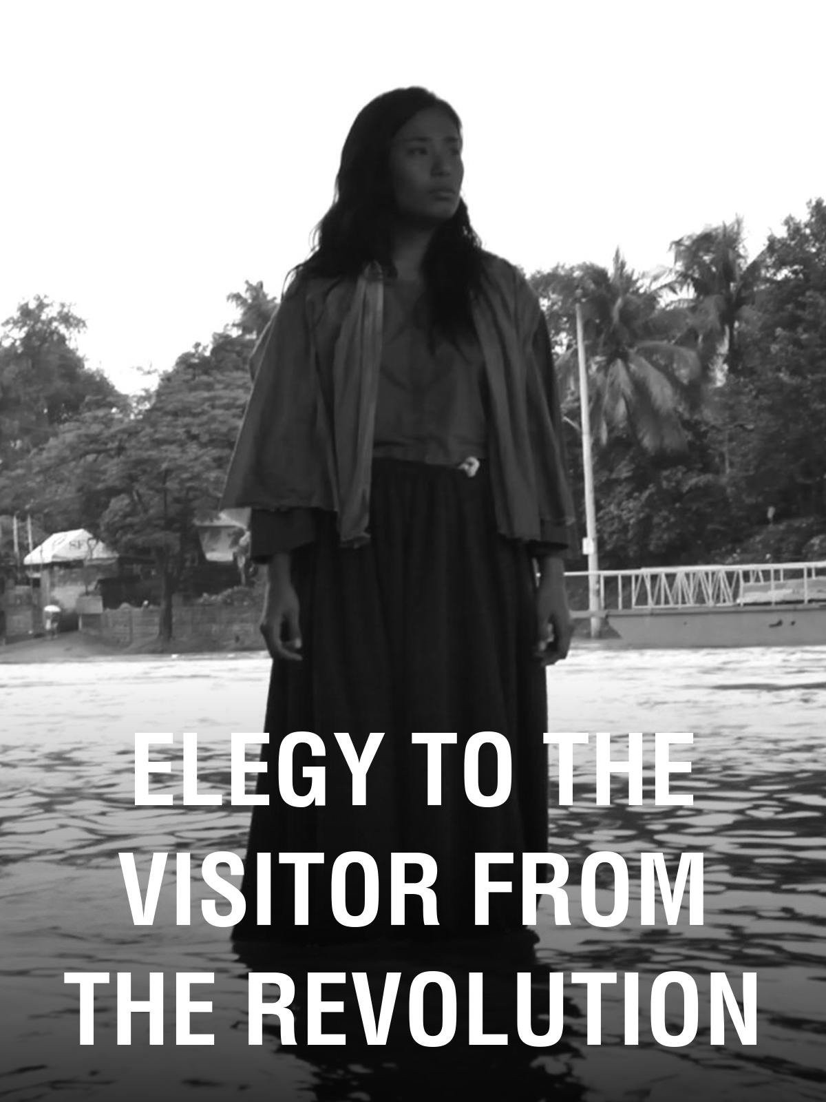 Elegy to the Visitor From the Revolution (2011) poster