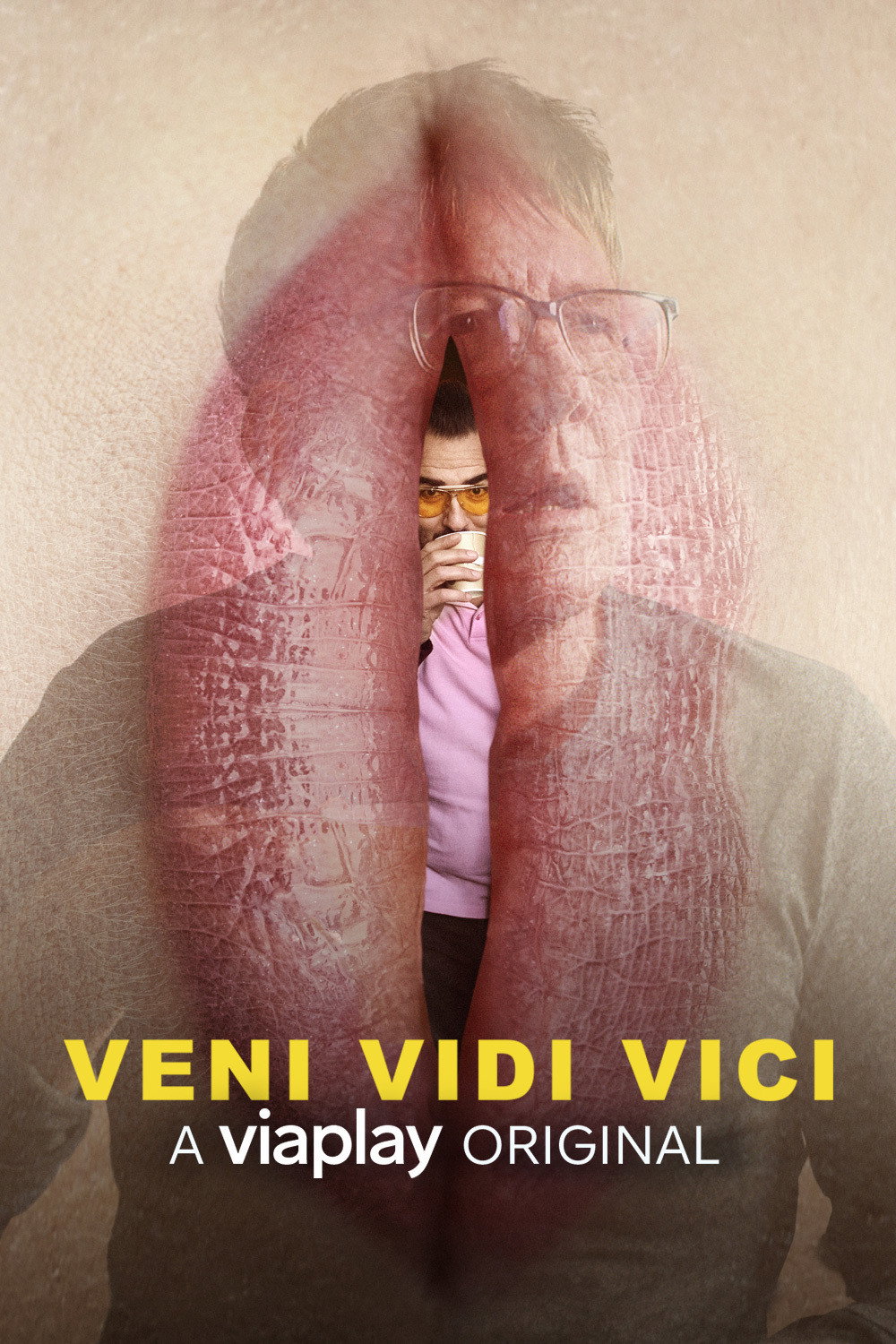 Veni Vidi Vici (2017) poster