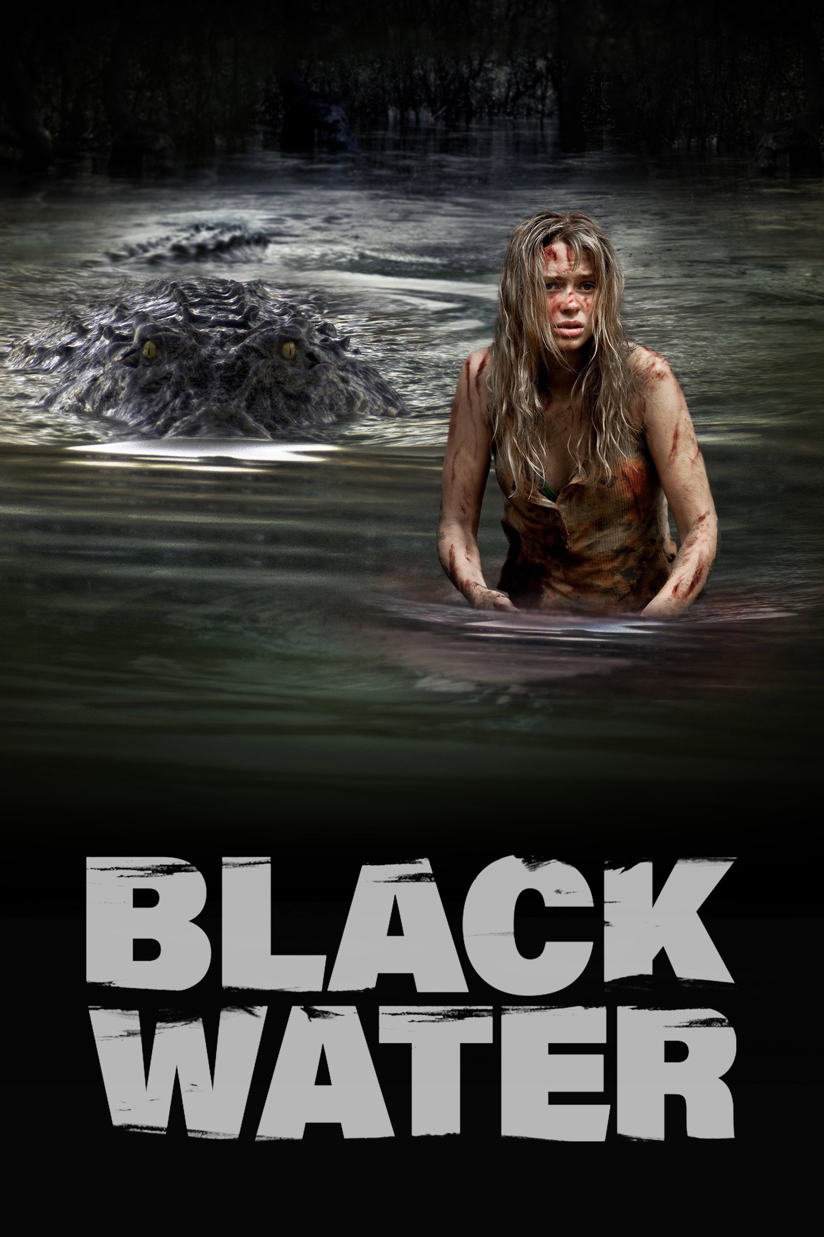 Black Water (2008) poster