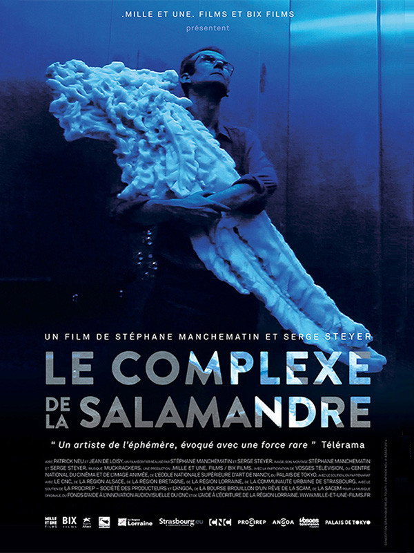 Le Complexe de la salamandre (2015) poster