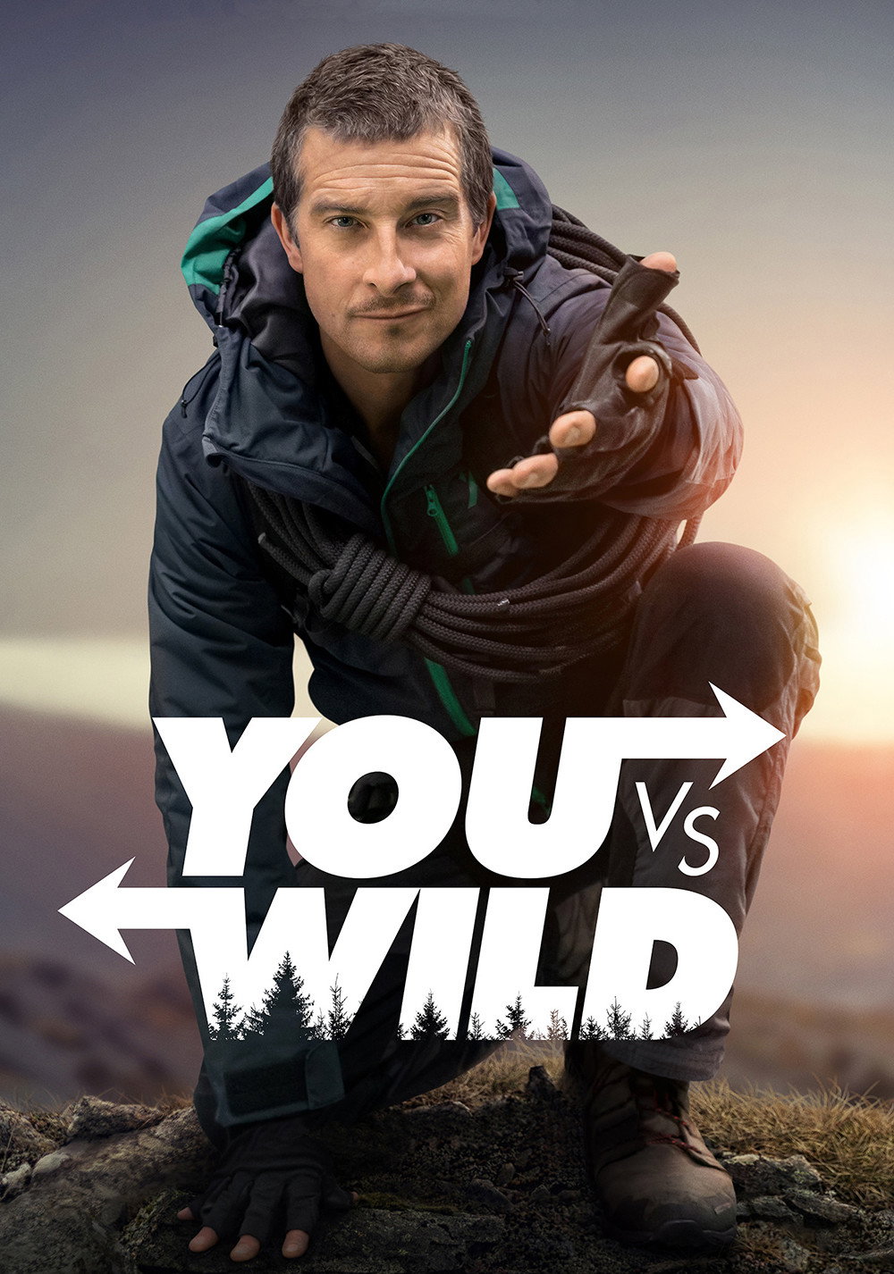 You vs. Wild (2019) poster