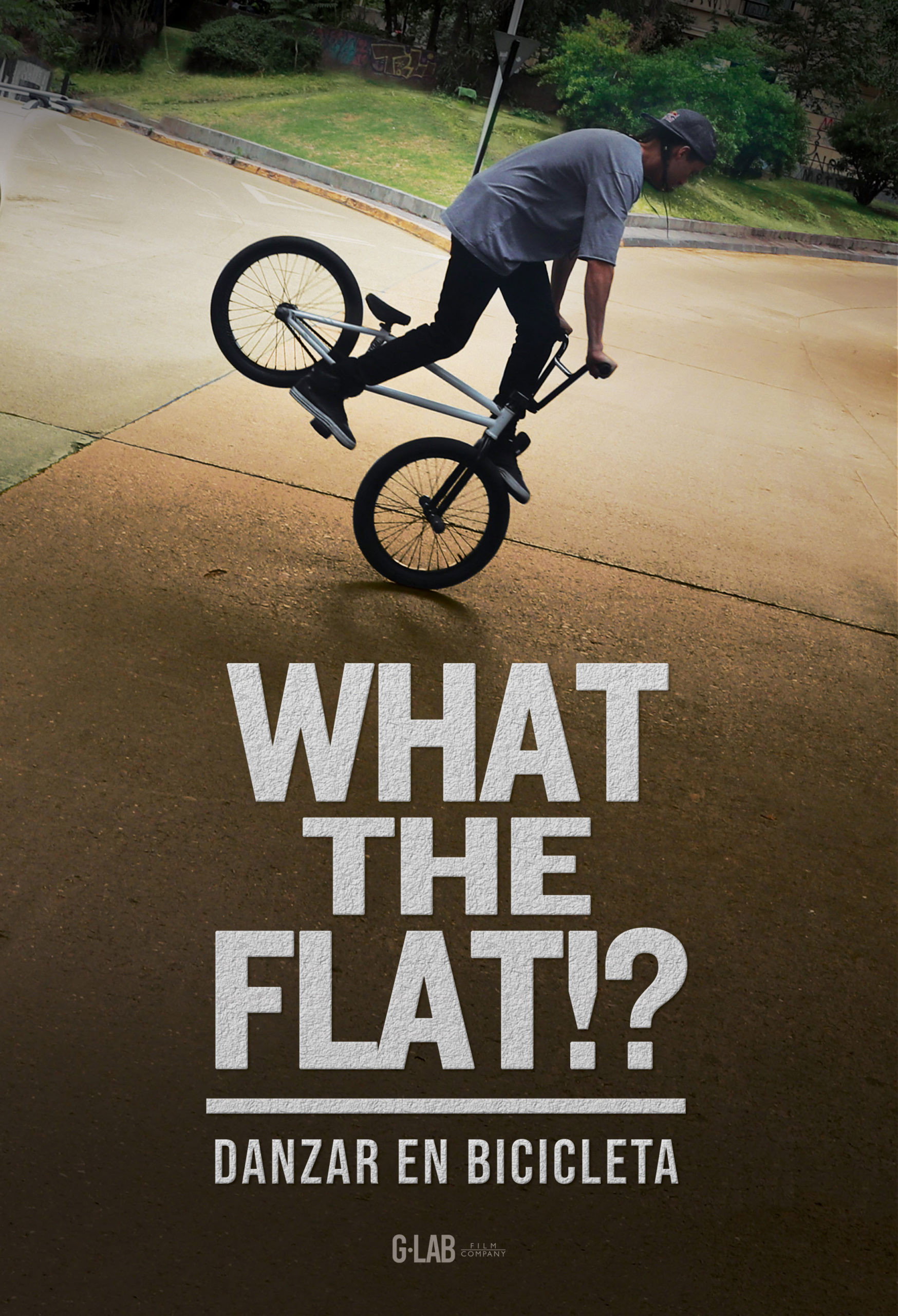 WHAT THE FLAT!? (2022) poster