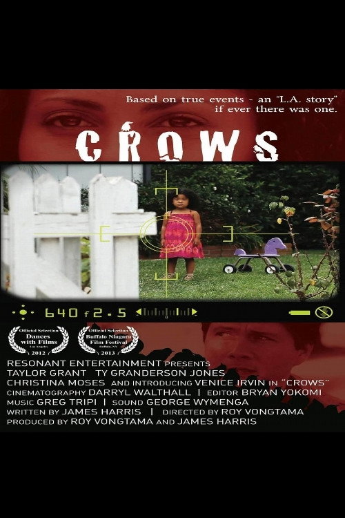 Crows (2026) poster