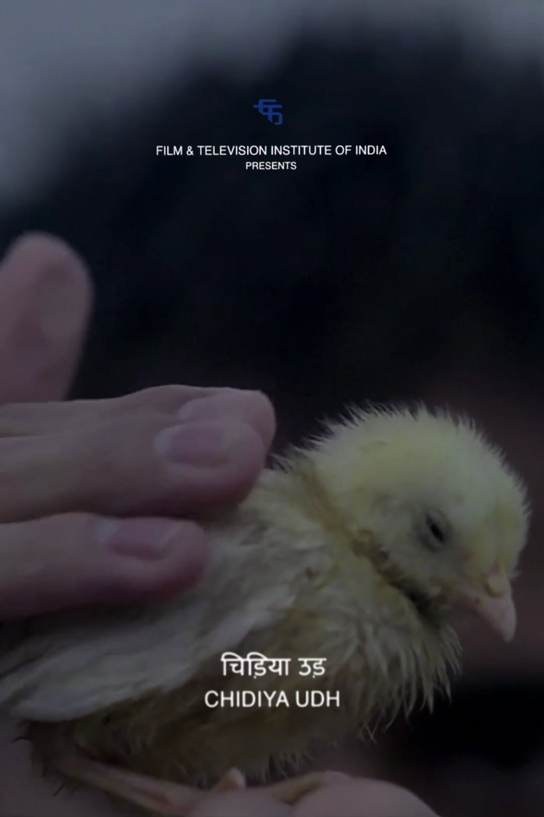 Fly, Bird (2014) poster
