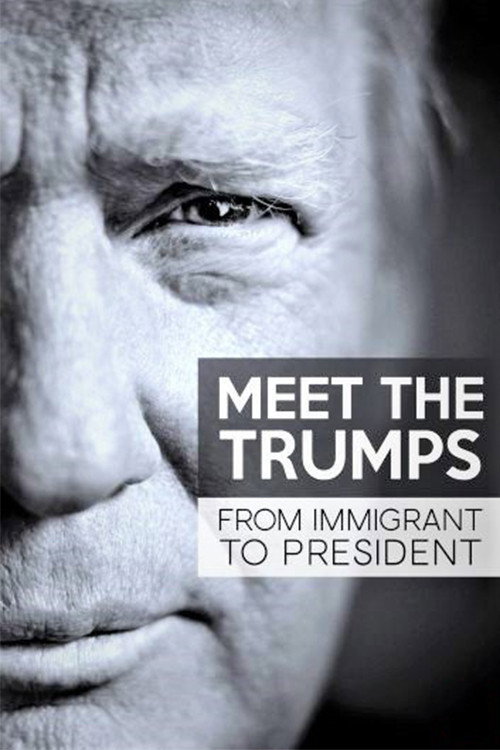 Meet the Trumps: From Immigrant to President (2017) poster