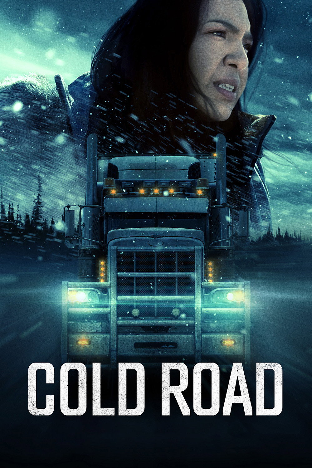 Cold Road - Eiskalte Rache (2024) poster