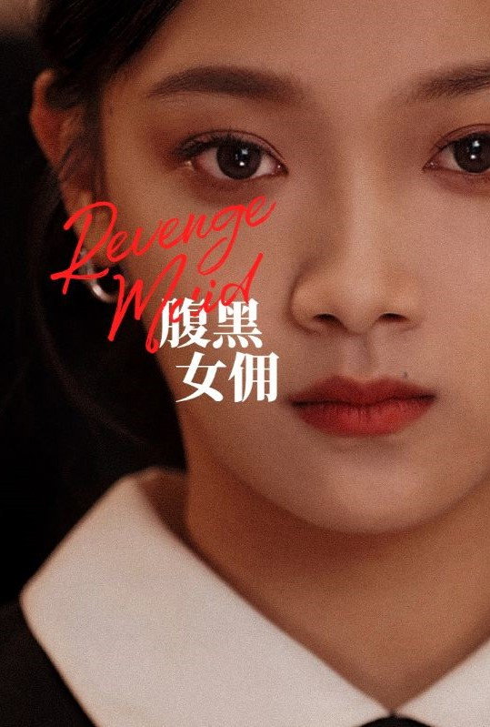 Revenge Maid (2023) poster