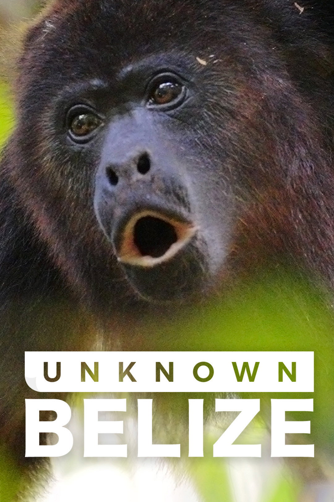 Unknown Belize (2024) poster