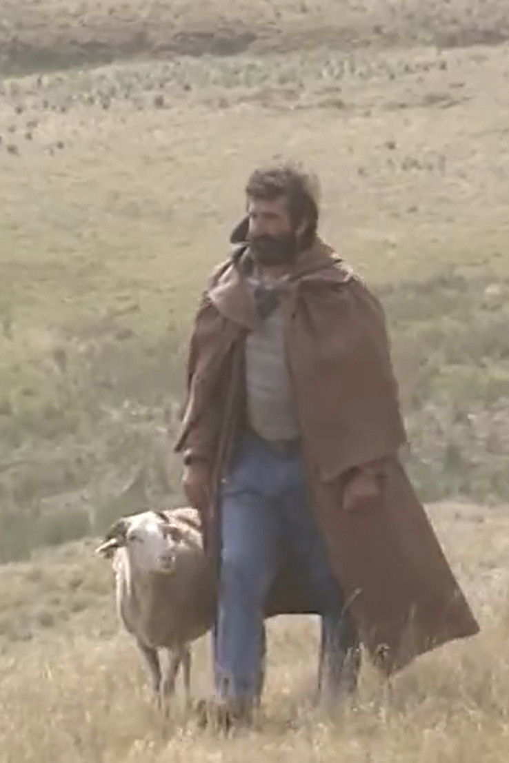 Shepherd and beyond (1994) poster