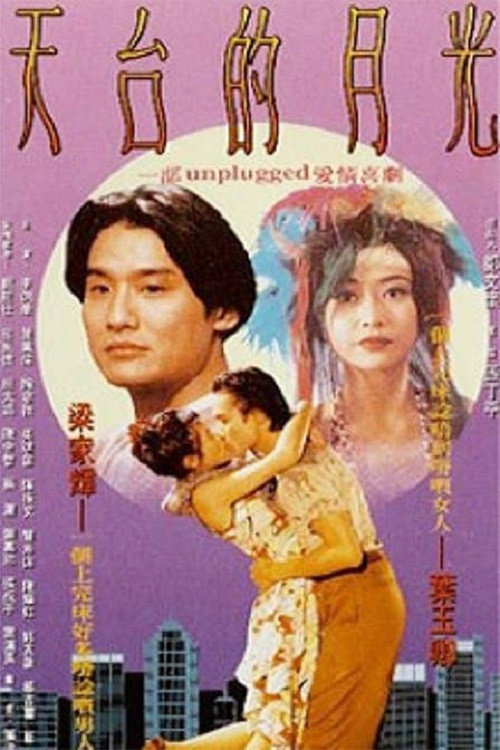 A Roof with a View (1993) poster