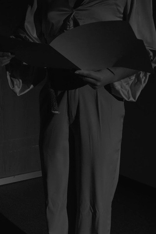 The Horse Head Incident (2024) poster