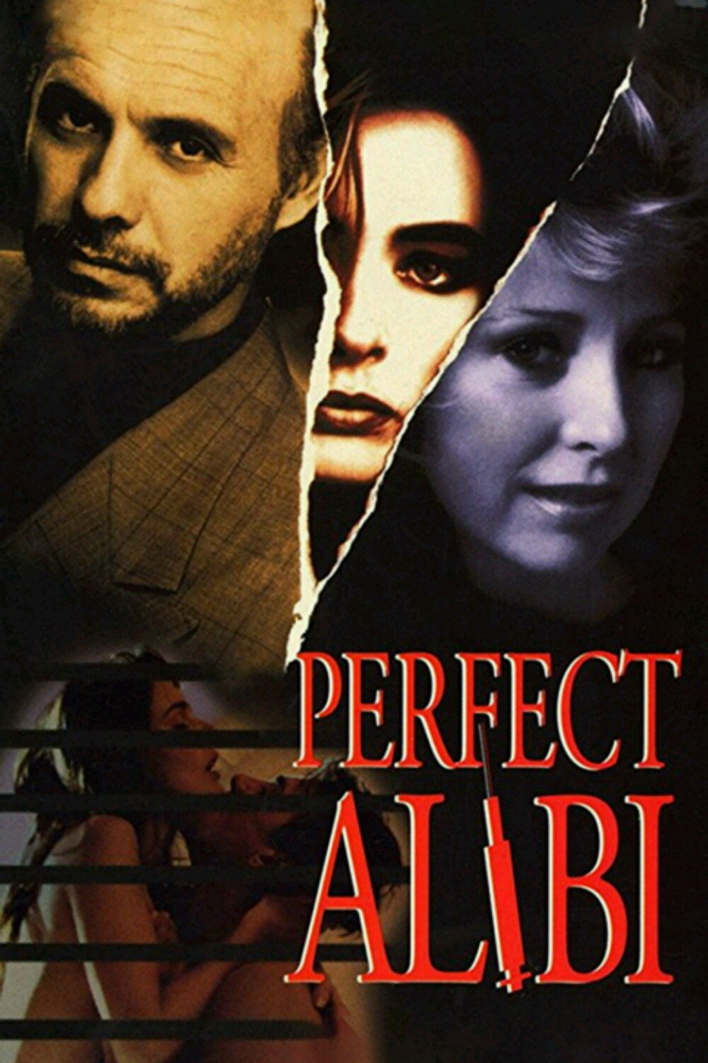 Perfect Alibi (1995) poster