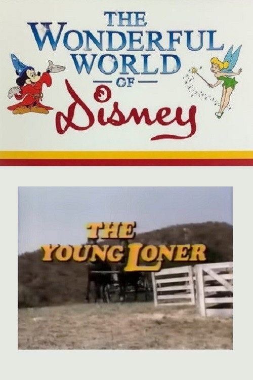 The Young Loner (1968) poster