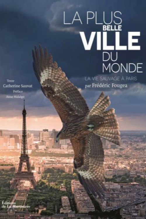 Paris: A Wild Story (2017) poster