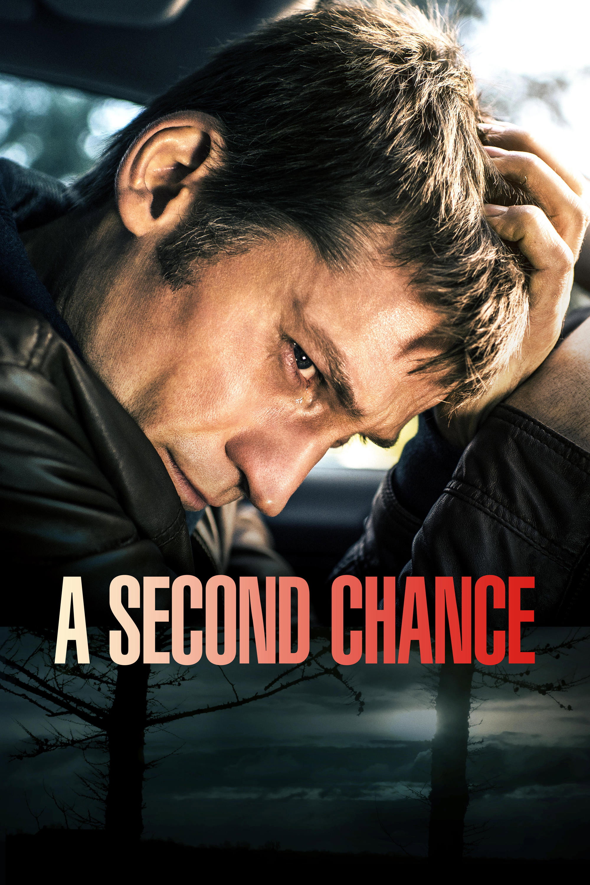 A Second Chance (2014) poster