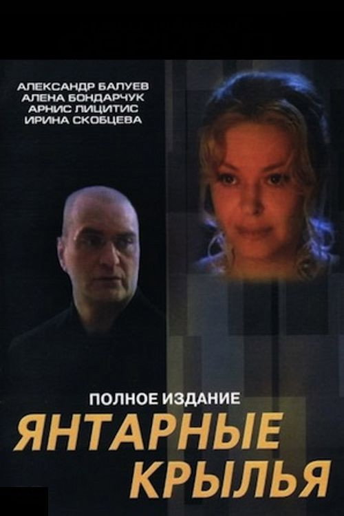 Amber Wings (2003) poster