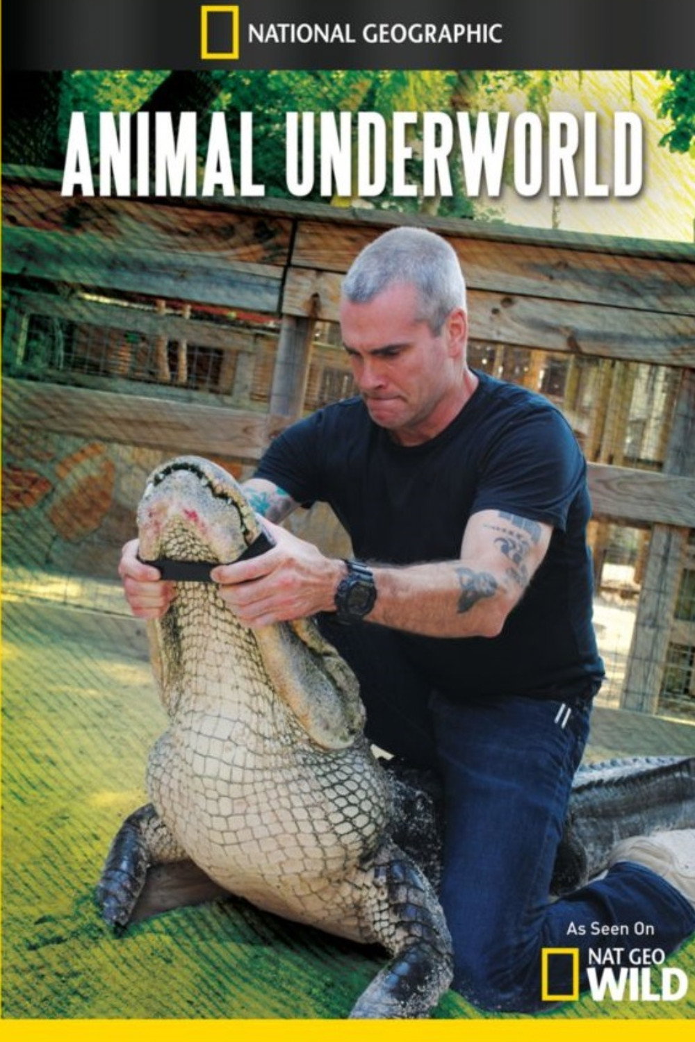 Animal Underworld (2012) poster