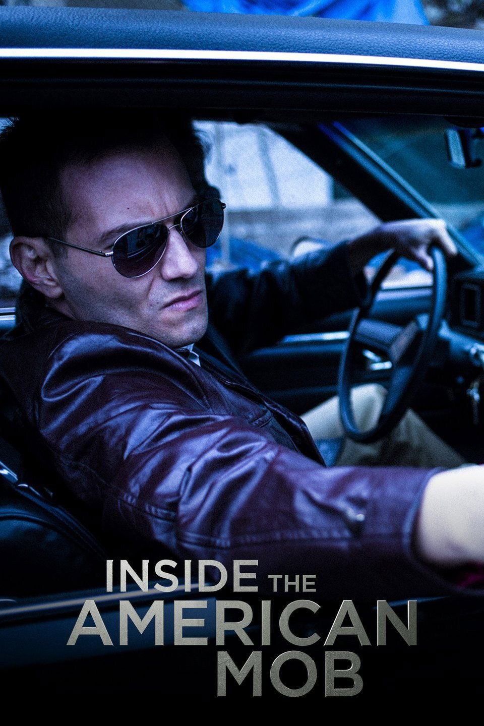 Inside the American Mob (2013) poster