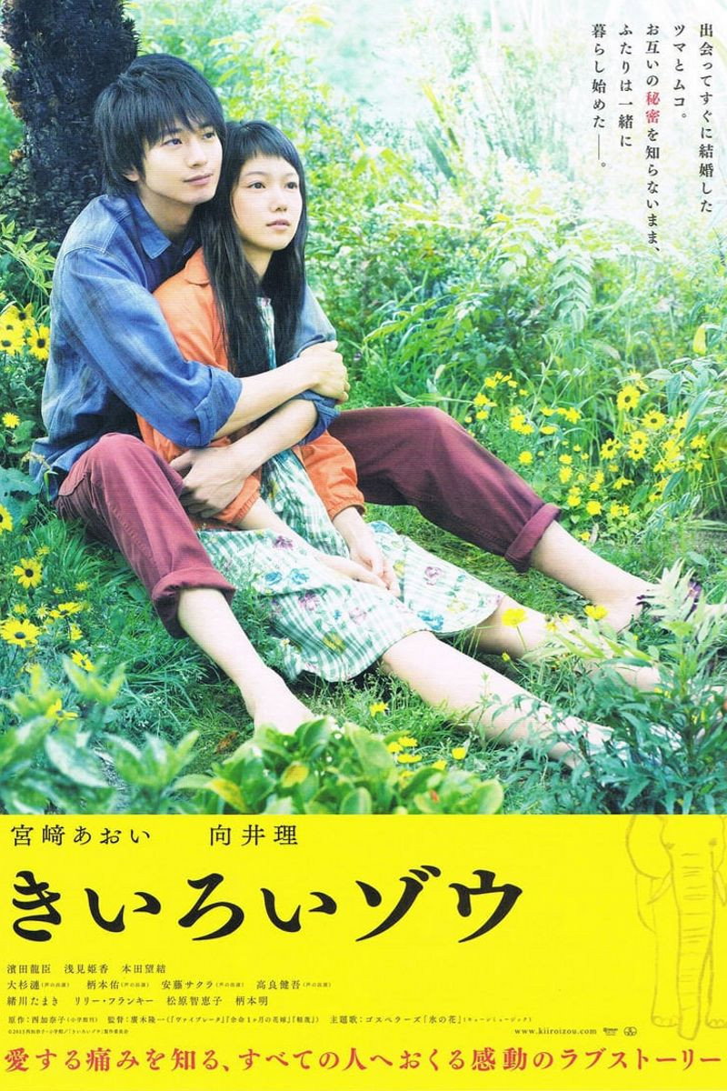 Yellow Elephant (2013) poster
