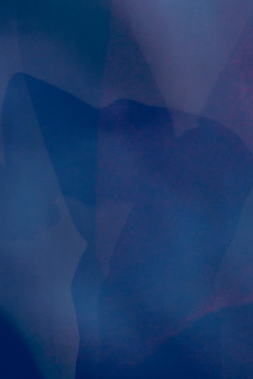 Self Portrait as a Shadow (2026) poster