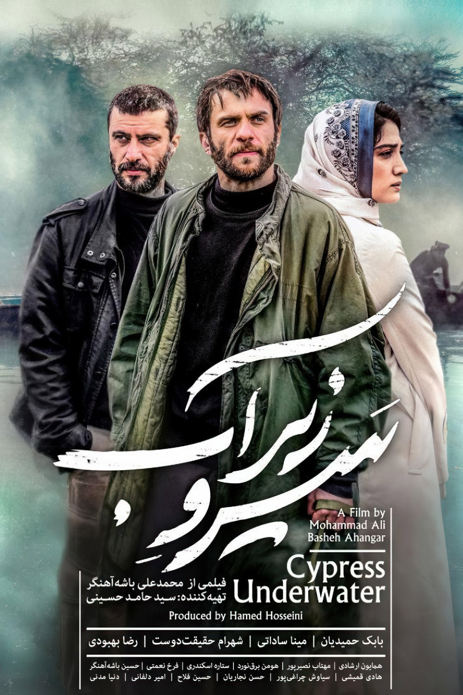 Cypress Under Water (2018) poster