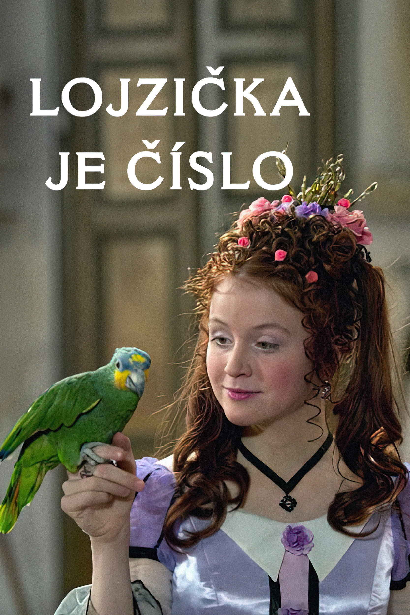 Lojzička je číslo (2006) poster