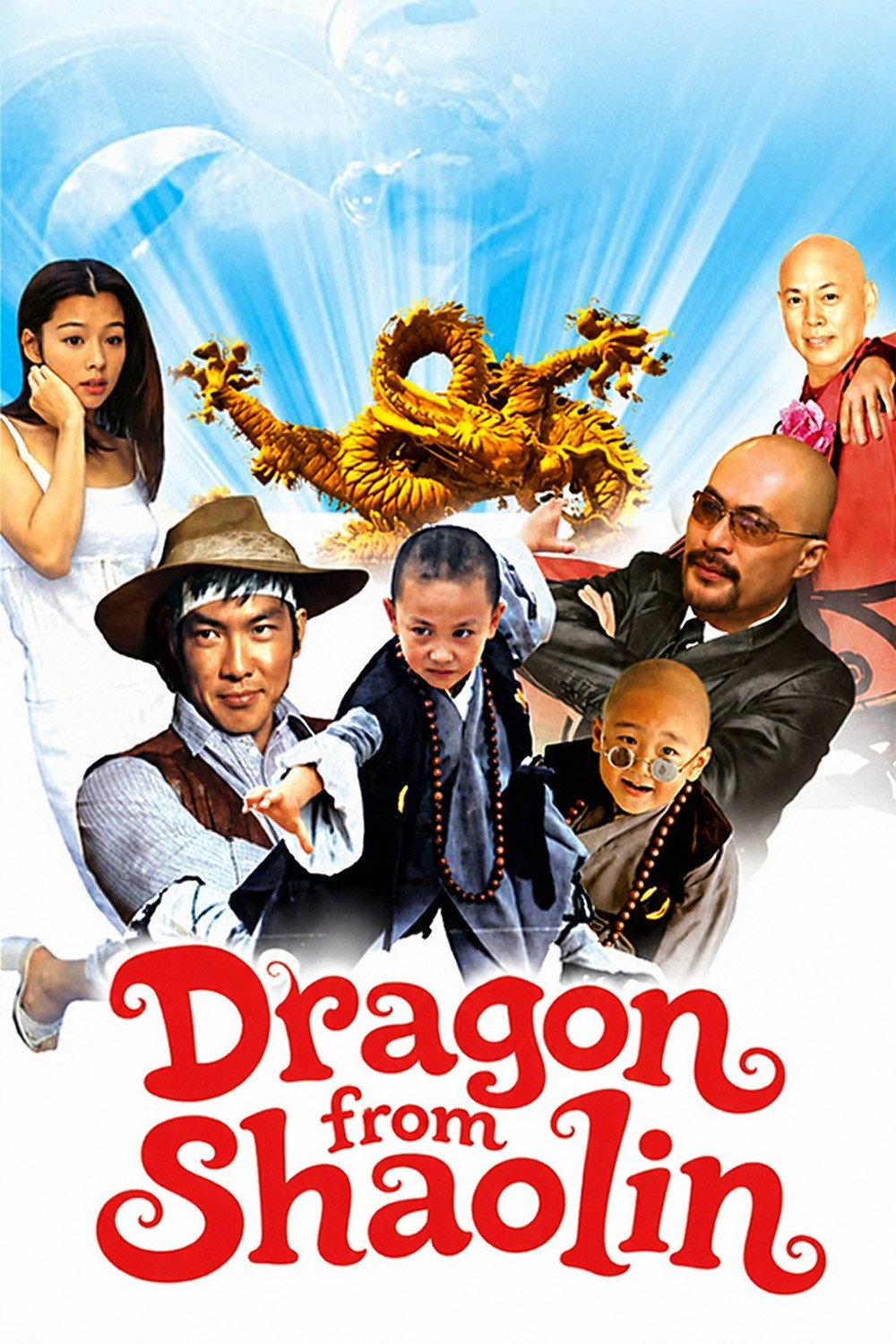 Dragon from Shaolin (1996) poster