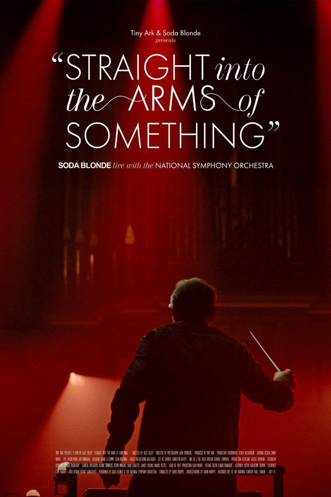 Straight Into The Arms Of Something (2026) poster