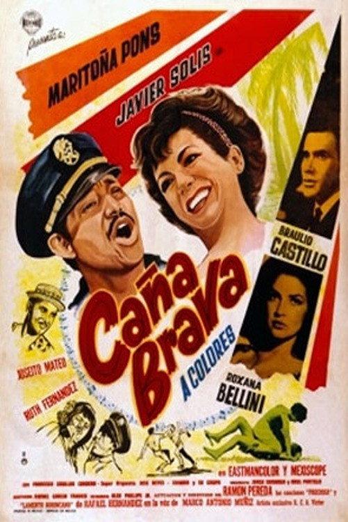 Caña brava (1965) poster