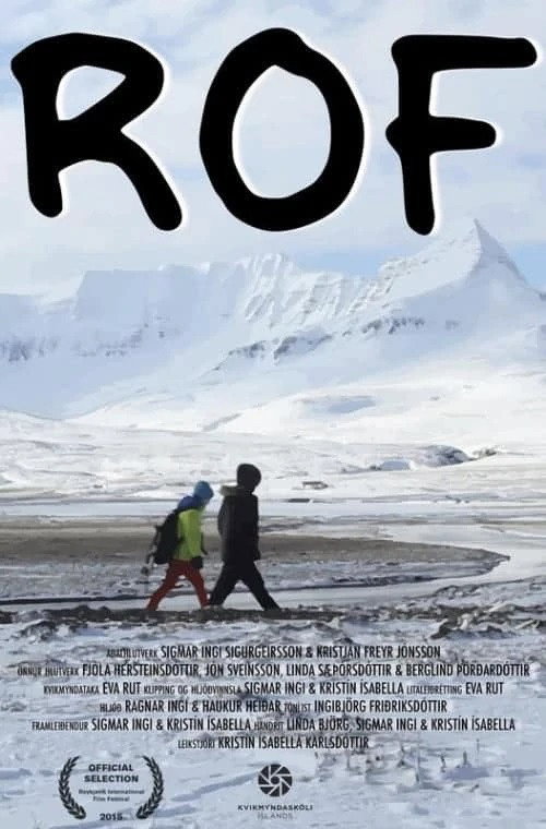 Unfolded (2015) poster