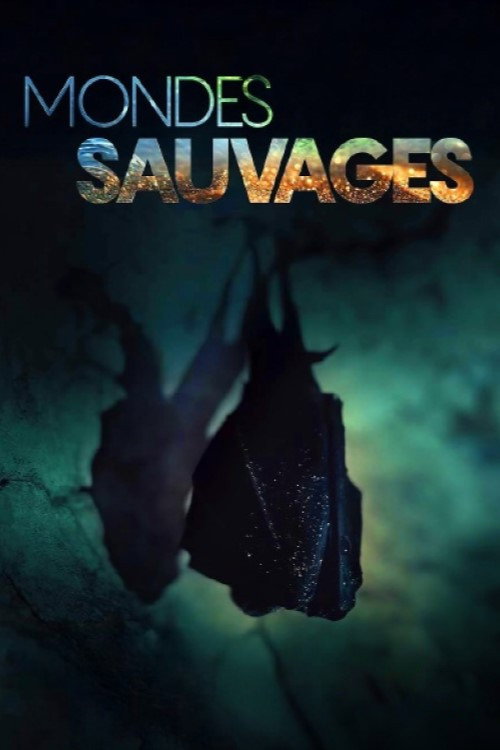 Mondes sauvages (2025) poster