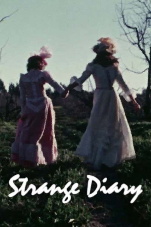 Strange Diary (1976) poster