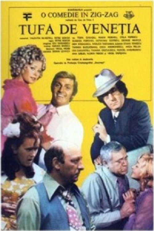 Tufă de Veneția (1977) poster