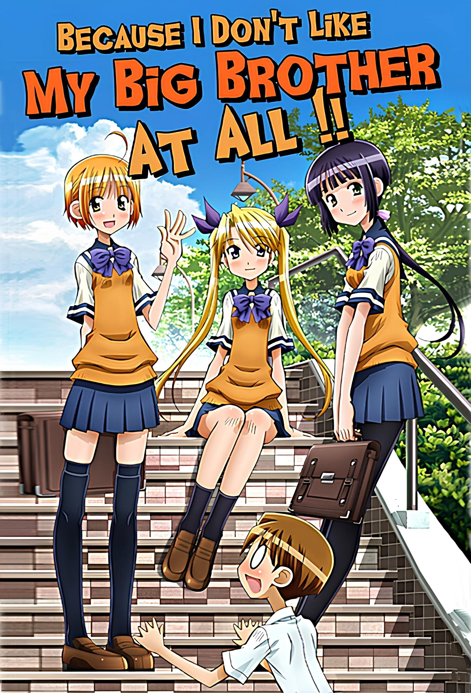 Because I Don't Like My Big Brother At-All--!! (2011) poster