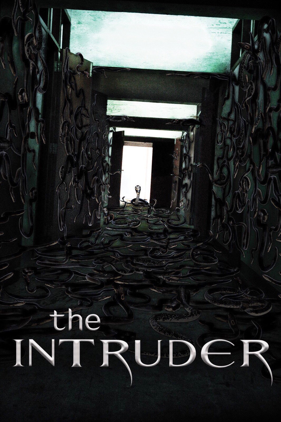 The Intruder (2010) poster